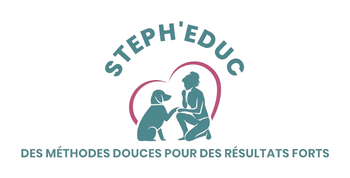 Logo STEPH'EDUC